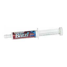 Blitz! Paste for Horses Peak Performance Nutrients